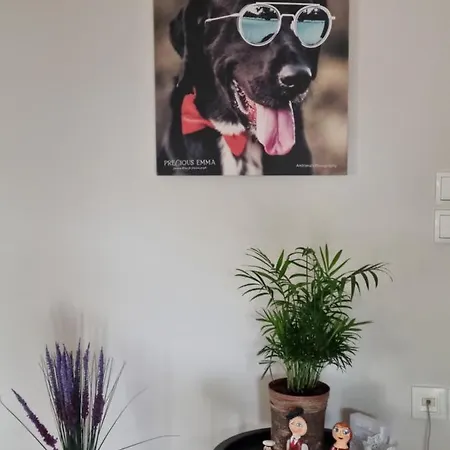 Precious Emma's House Lägenhet Afantou