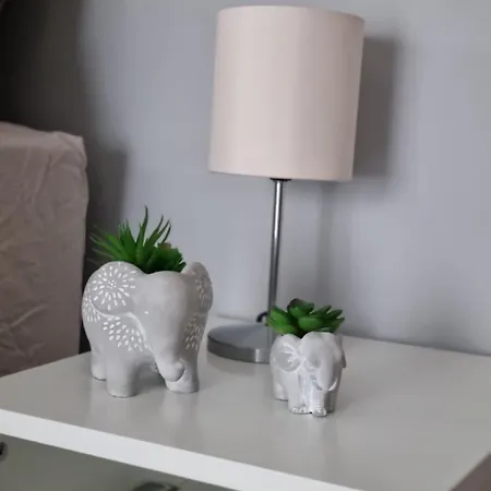 Precious Emma's House Lägenhet Afantou