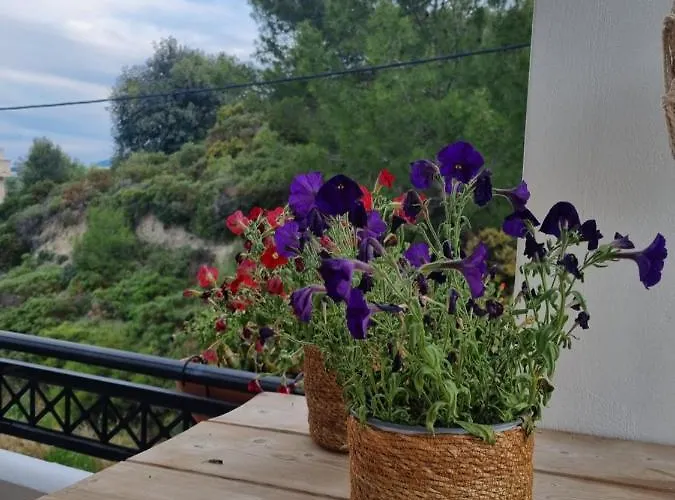 Precious Emma's House Апартаменты *