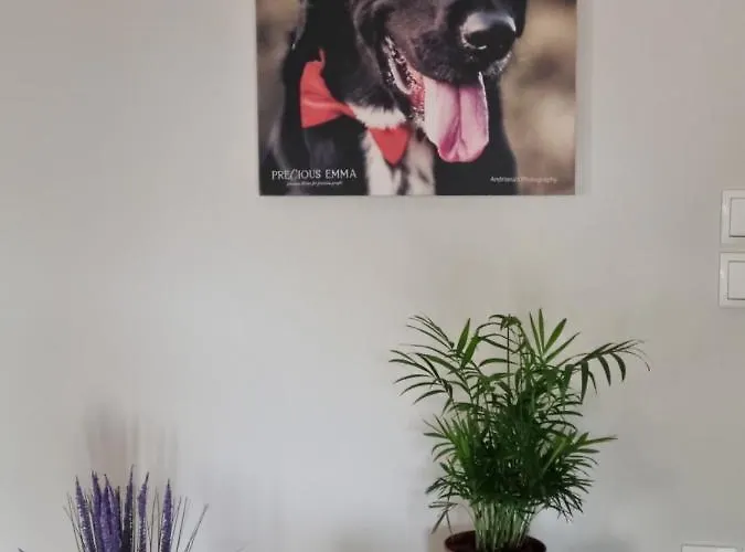 Precious Emma's House Daire Afantou