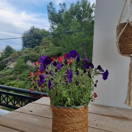 Precious Emma's House