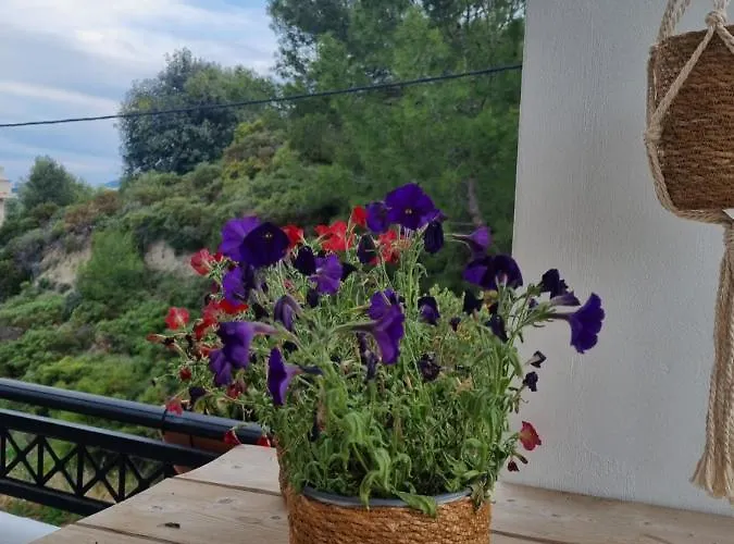 Precious Emma's House